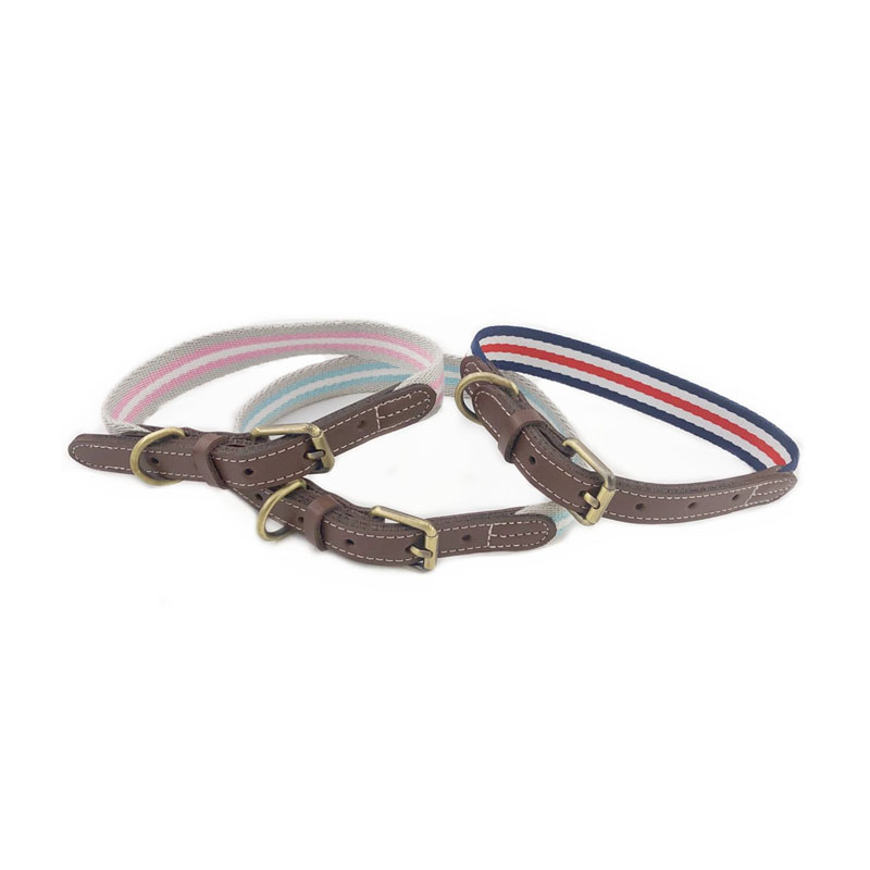 Collar Madraí Inchoigeartaithe Leathar PU