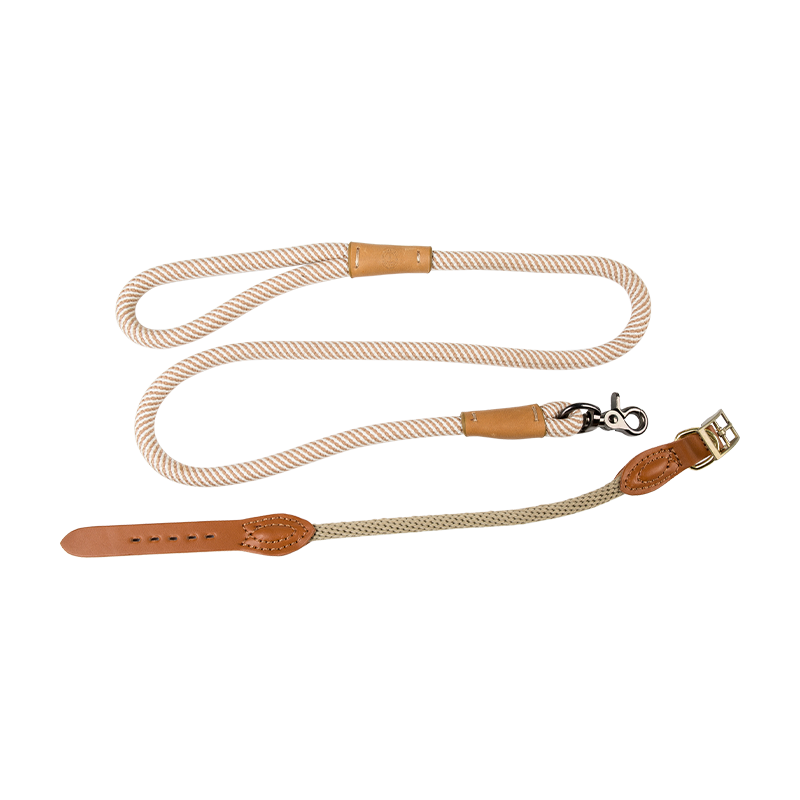 Leash Rope Madraí thar a bheith Durable, Luaidhe Duillín Oiliúna Cáilíochta Préimhe