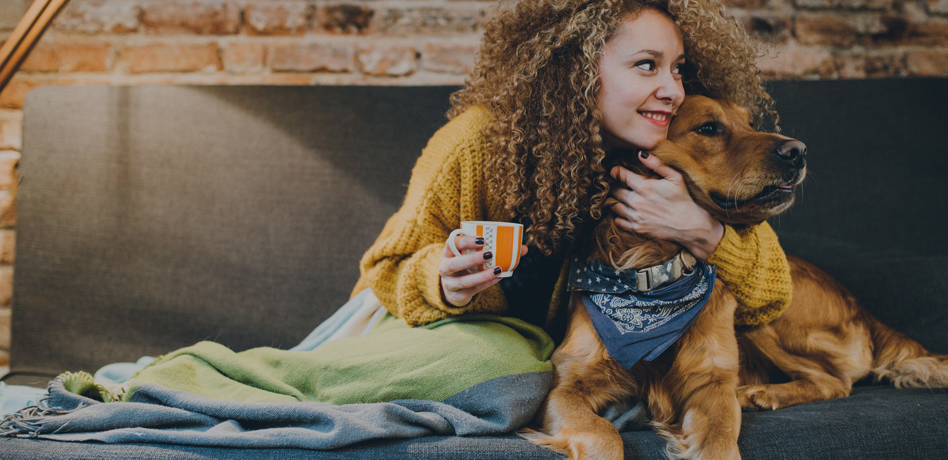 Coiléar Madraí Gabhálais Peataí, Soláthraithe Leash Leasa Madraí, image size:1920x933