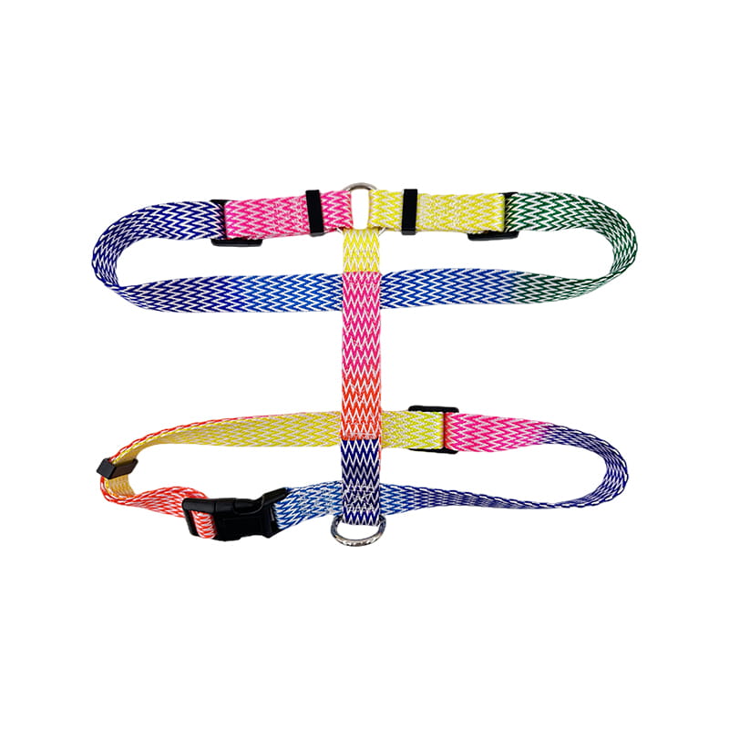 Pet Leash Veist Taistil Peataí Úim Allamuigh
